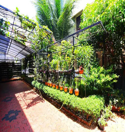 Garden at Anie's